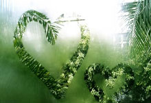 手到擒来是指什么生肖,深入解读精准解析