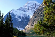 山木自寇指是什么生肖,正确解答词语解析