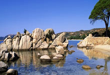 山木自寇指是什么生肖,正确解答词语解析